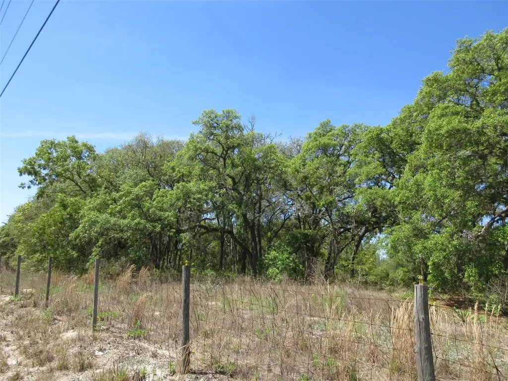 5439 W Oakhill Street Dunnellon FL 34433