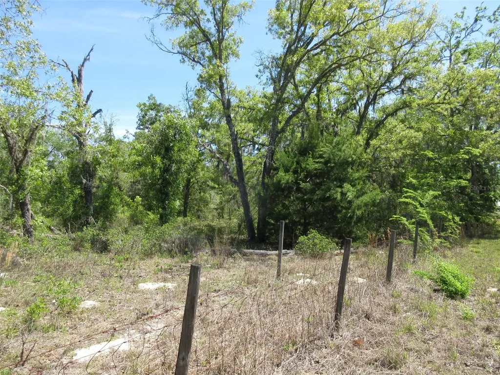 5439 W Oakhill Street Dunnellon FL 34433