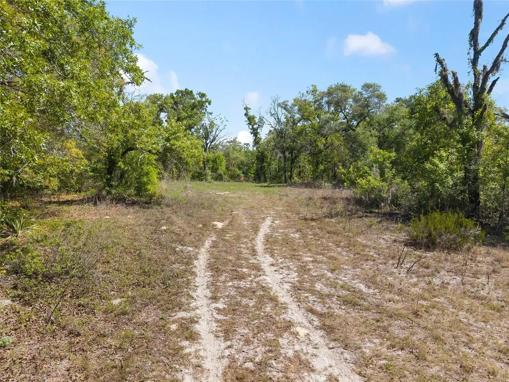 5439 W Oakhill Street Dunnellon FL 34433