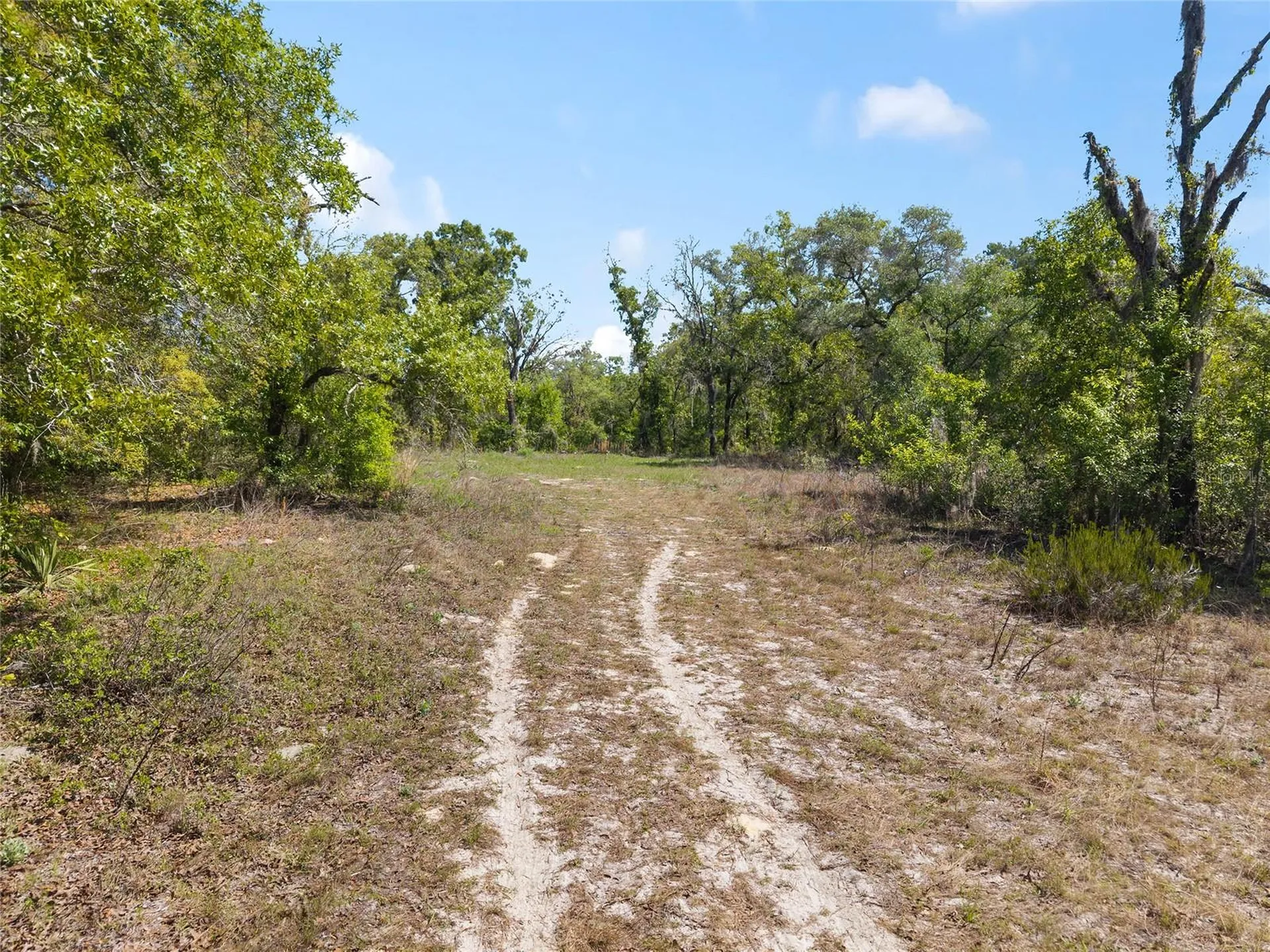 5439 W Oakhill Street Dunnellon FL 34433