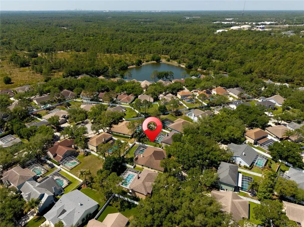 8715 Hidden Green Lane Tampa FL 33647