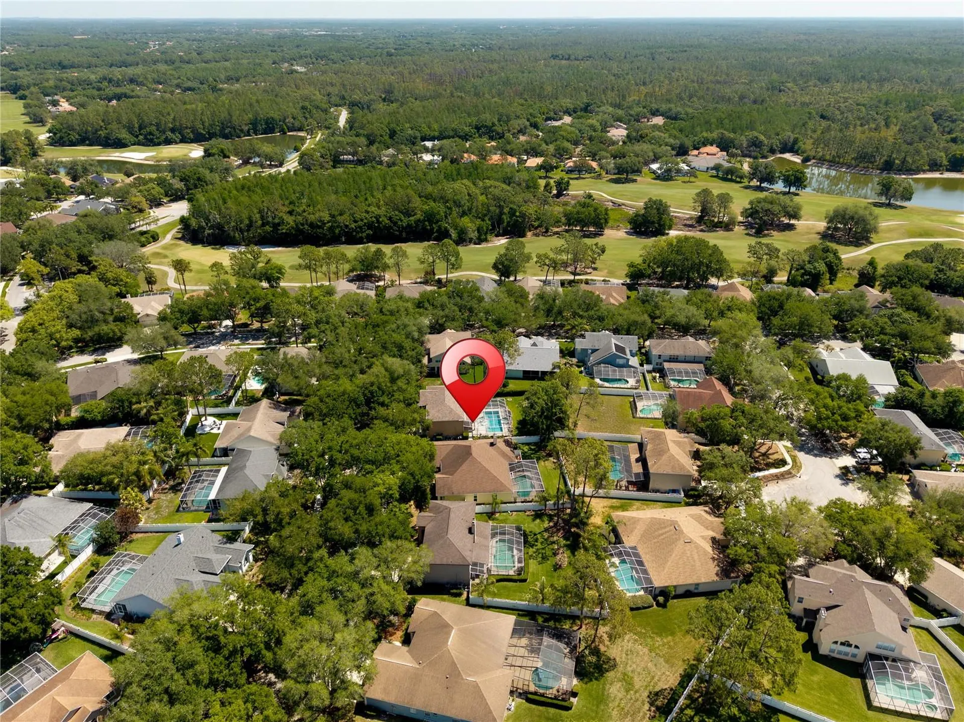 8715 Hidden Green Lane Tampa FL 33647