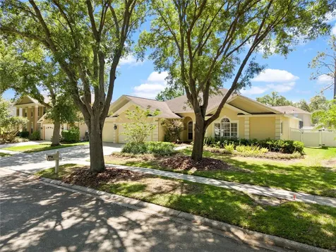 8715 Hidden Green Lane Tampa FL 33647
