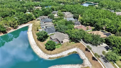 5413 Garden Arbor Drive Lutz FL 33558