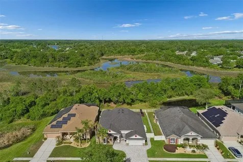 7441 Ambleside Drive Land O Lakes FL 34637