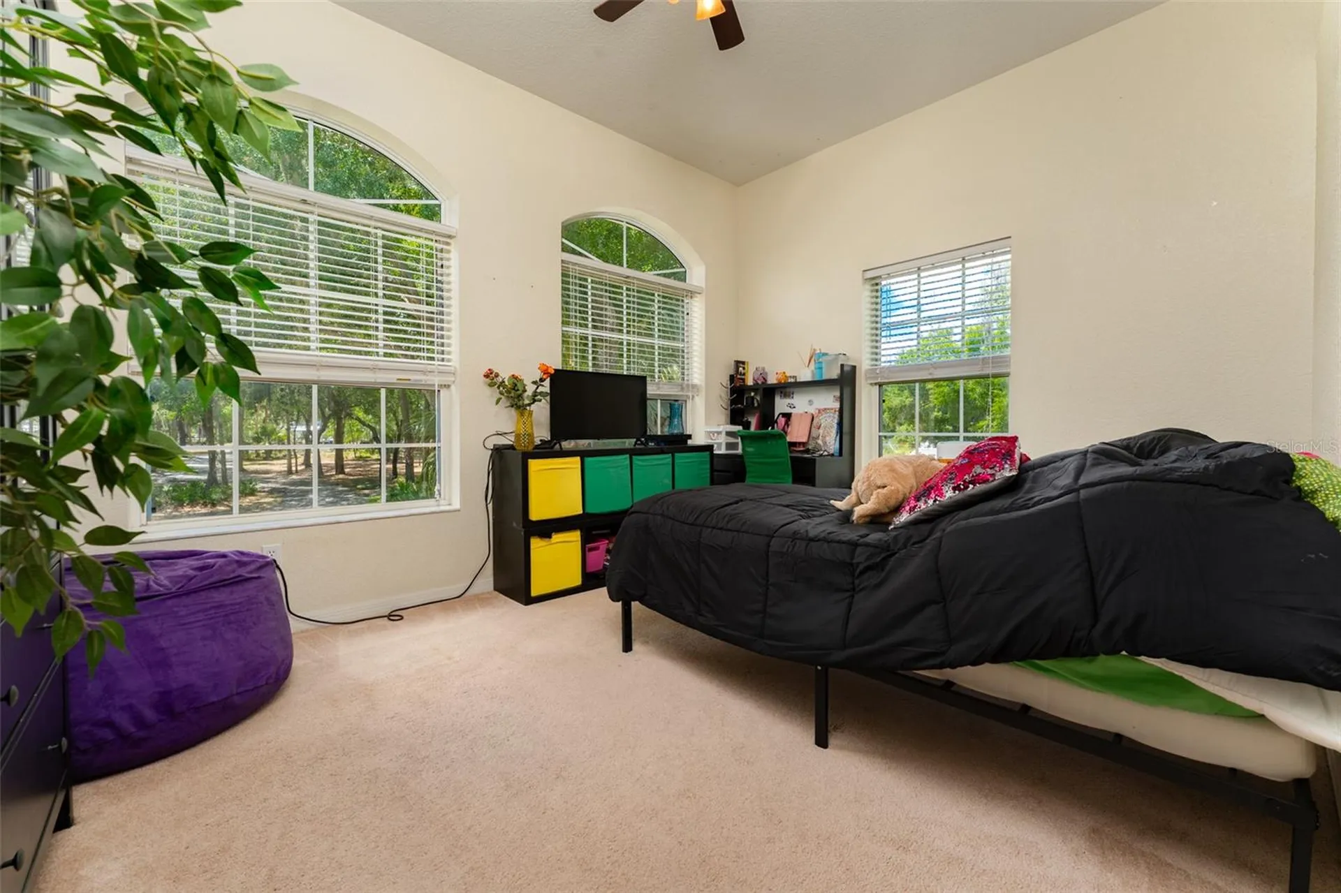 8214 Revels Road Riverview FL 33569