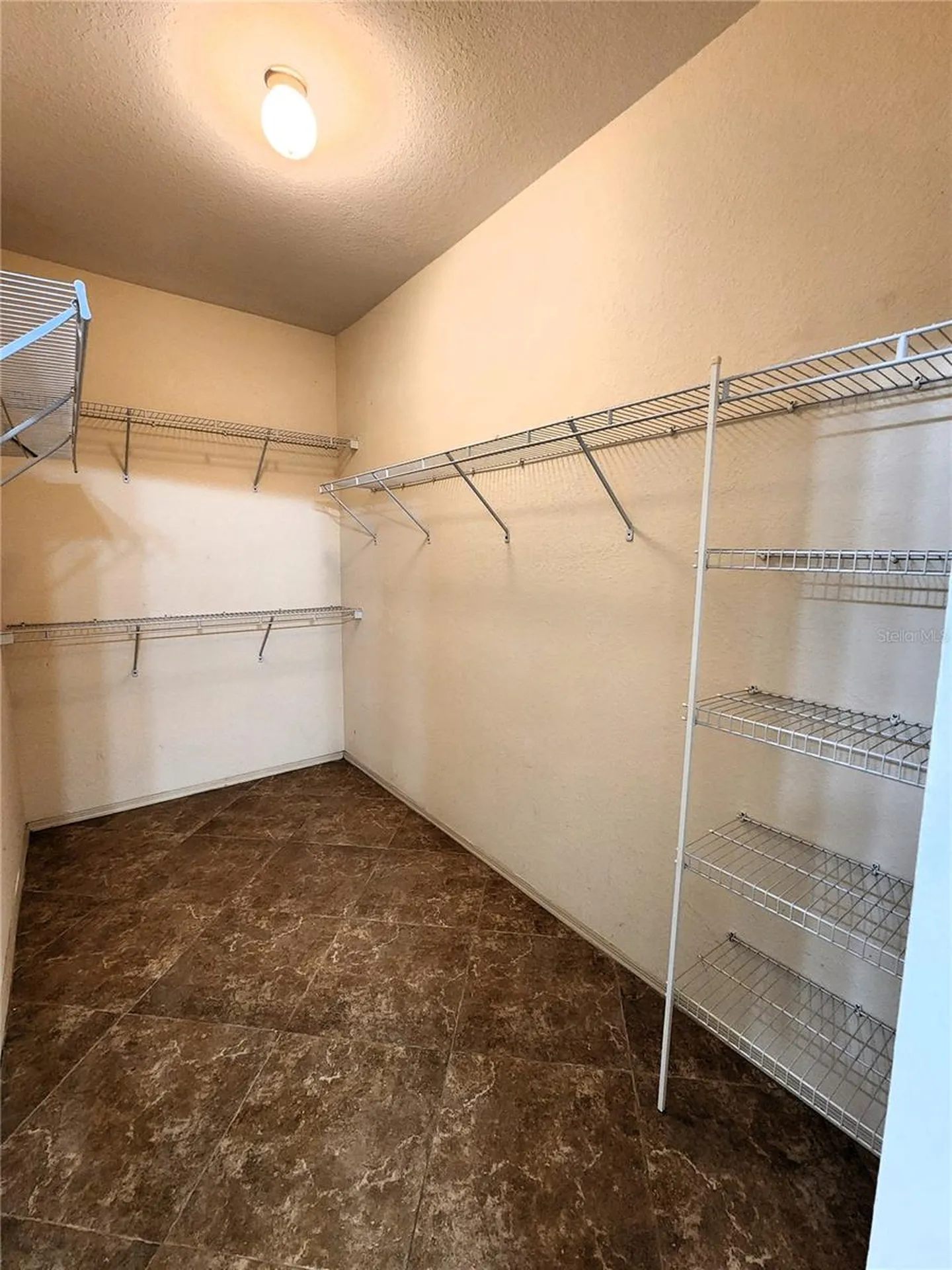2733 Via Cipriani Clearwater FL 33764