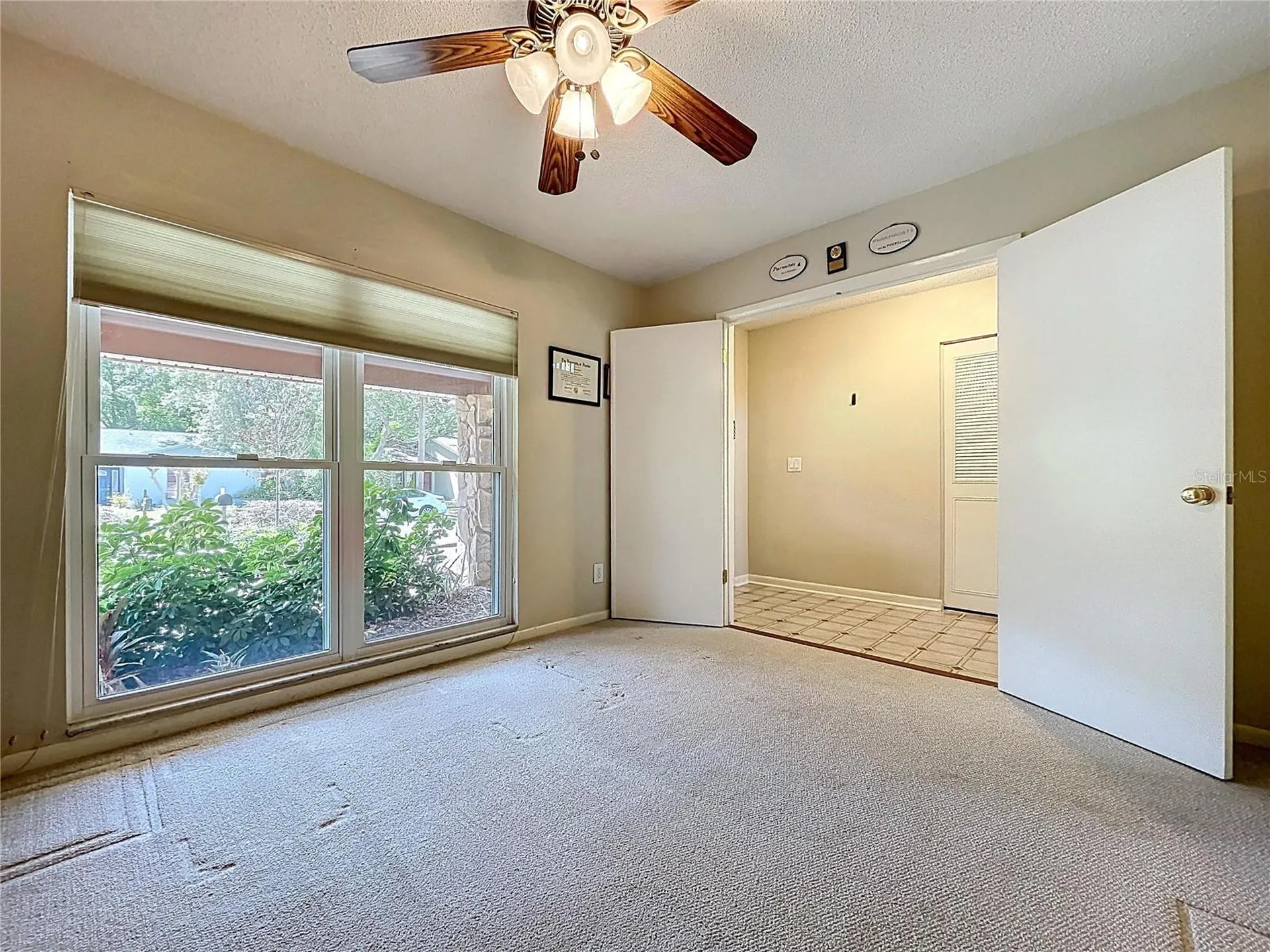 14711 Tall Tree Drive Lutz FL 33559