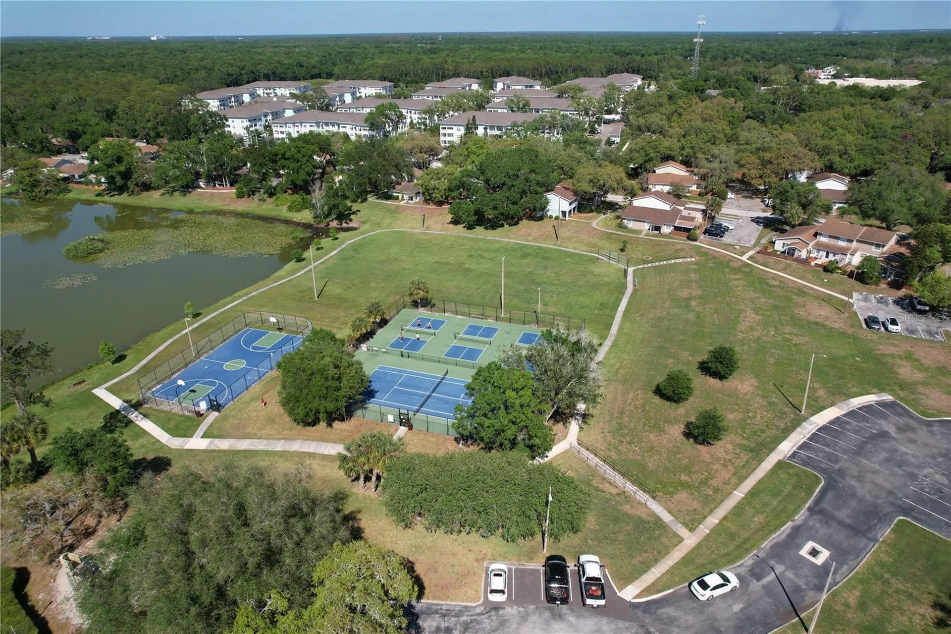 14711 Tall Tree Drive Lutz FL 33559