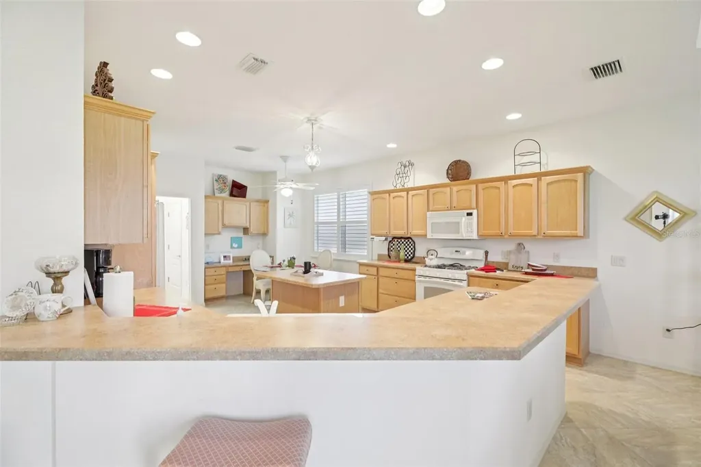 1605 Lynchburg Loop The Villages FL 32162
