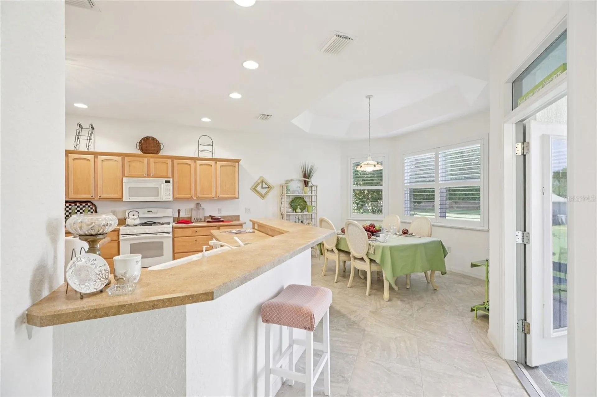 1605 Lynchburg Loop The Villages FL 32162