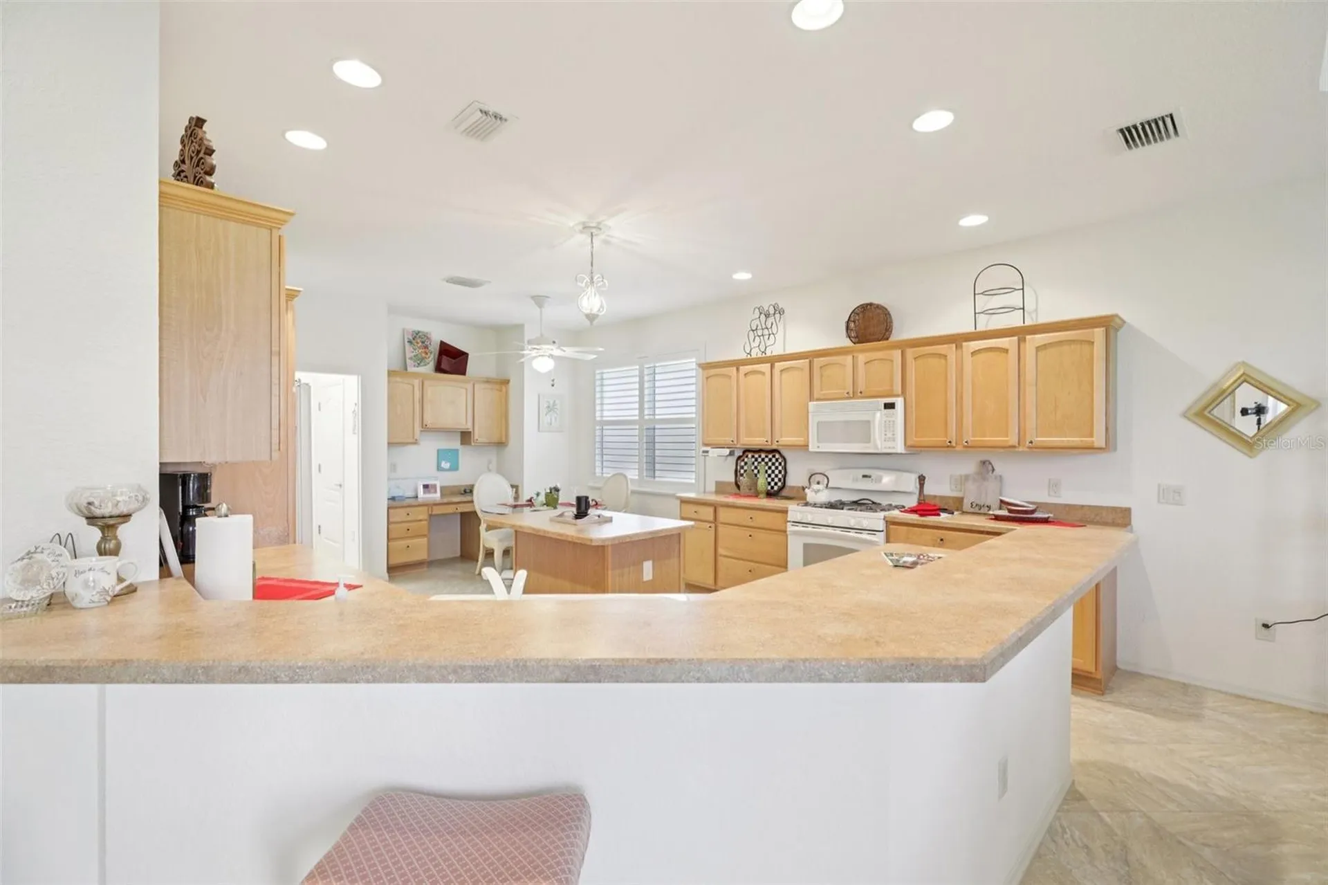 1605 Lynchburg Loop The Villages FL 32162