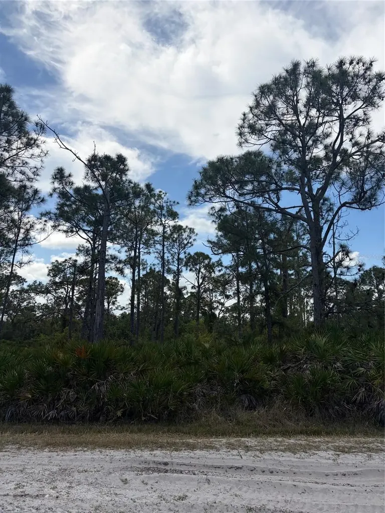 28078 Ramiro Drive Punta Gorda FL 33955