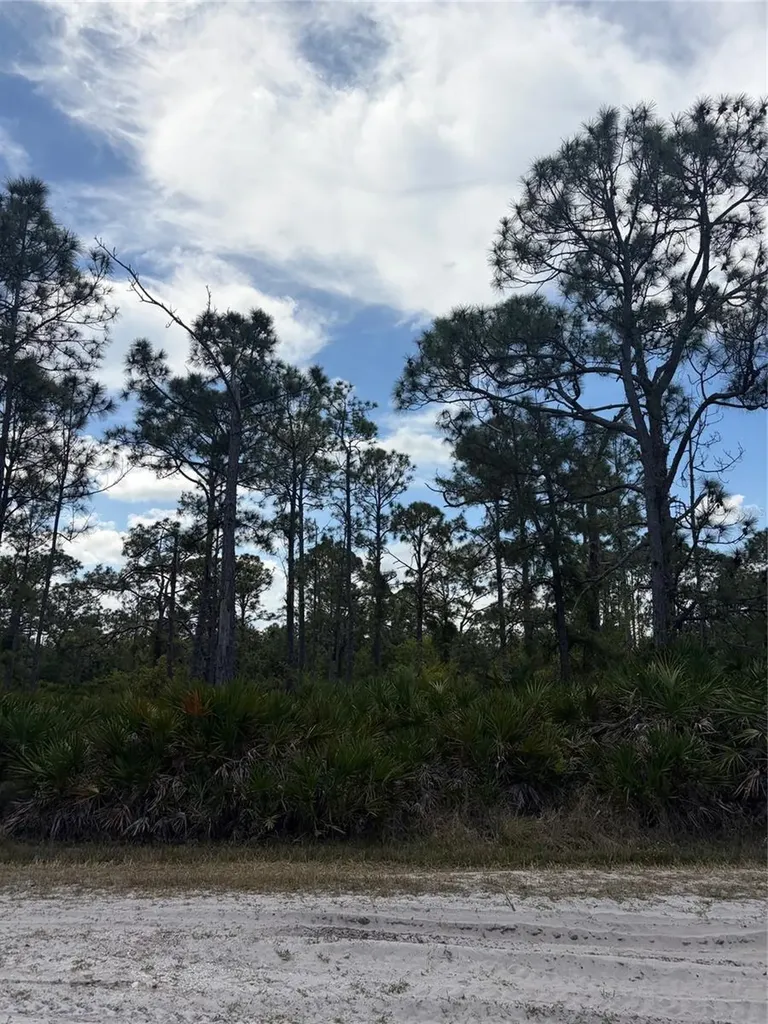28078 Ramiro Drive Punta Gorda FL 33955