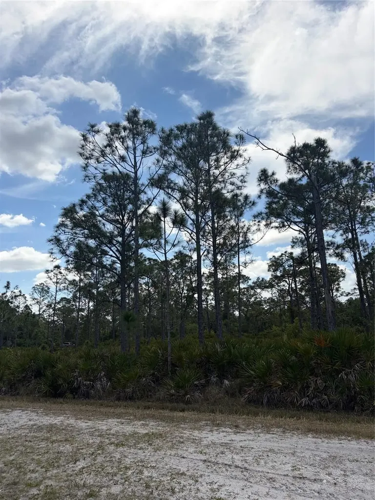 28078 Ramiro Drive Punta Gorda FL 33955