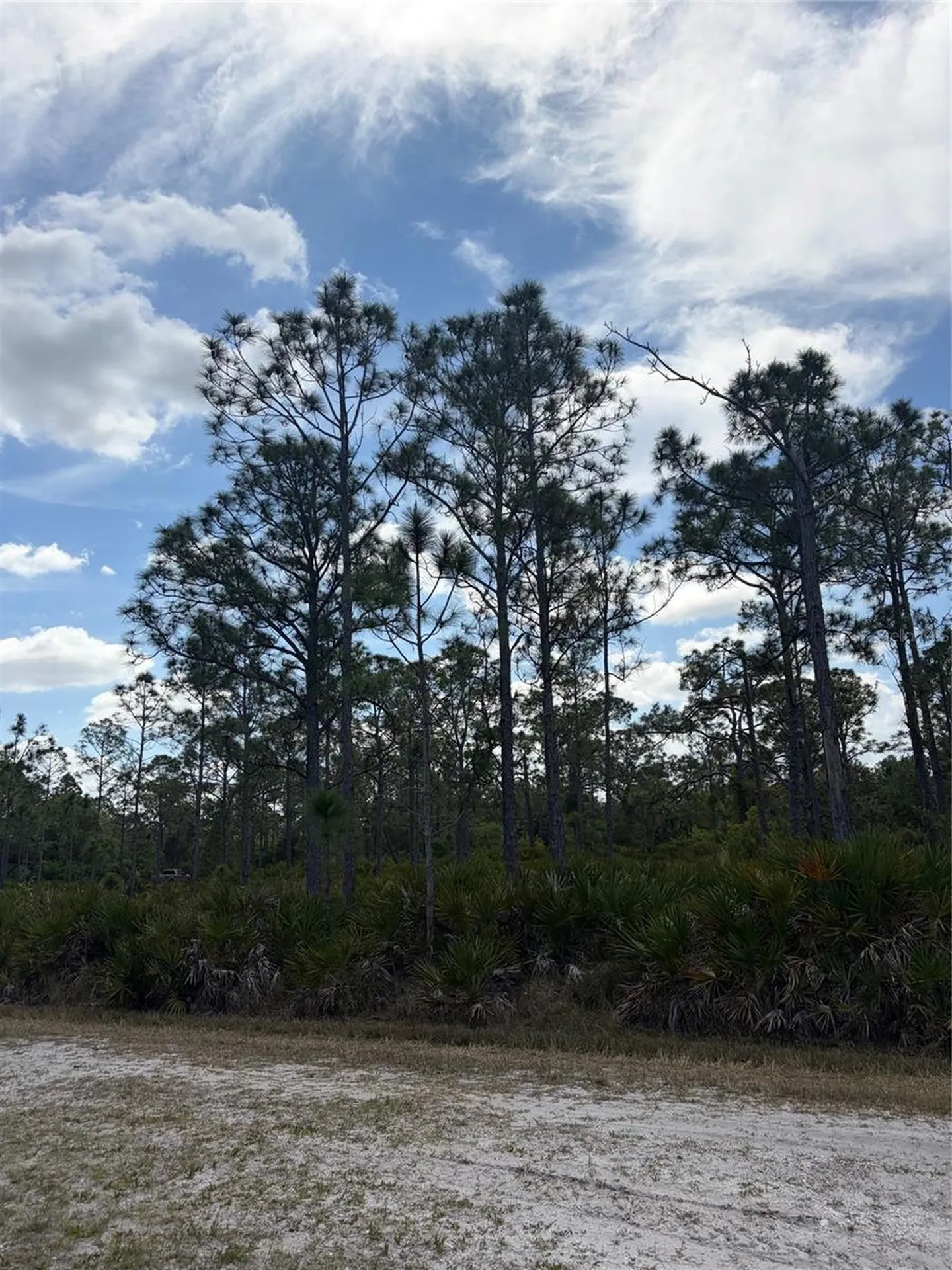 28078 Ramiro Drive Punta Gorda FL 33955