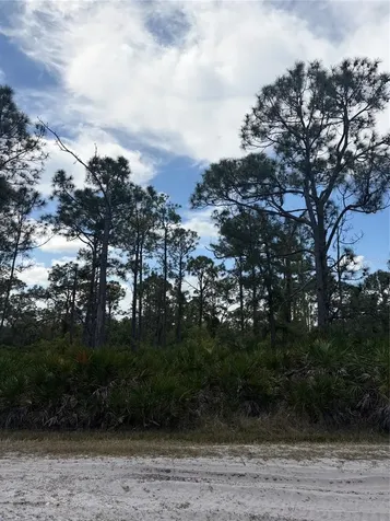 28078 Ramiro Drive Punta Gorda FL 33955