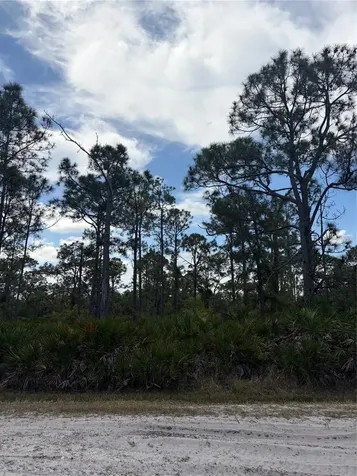 28078 Ramiro Drive Punta Gorda FL 33955