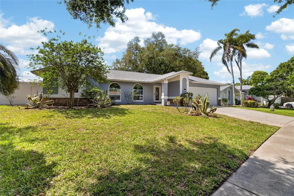 1668 Allens Ridge Drive N Palm Harbor FL 34683