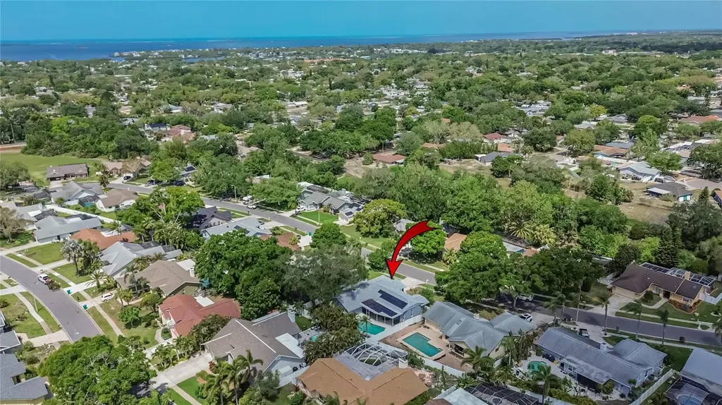 1668 Allens Ridge Drive N Palm Harbor FL 34683