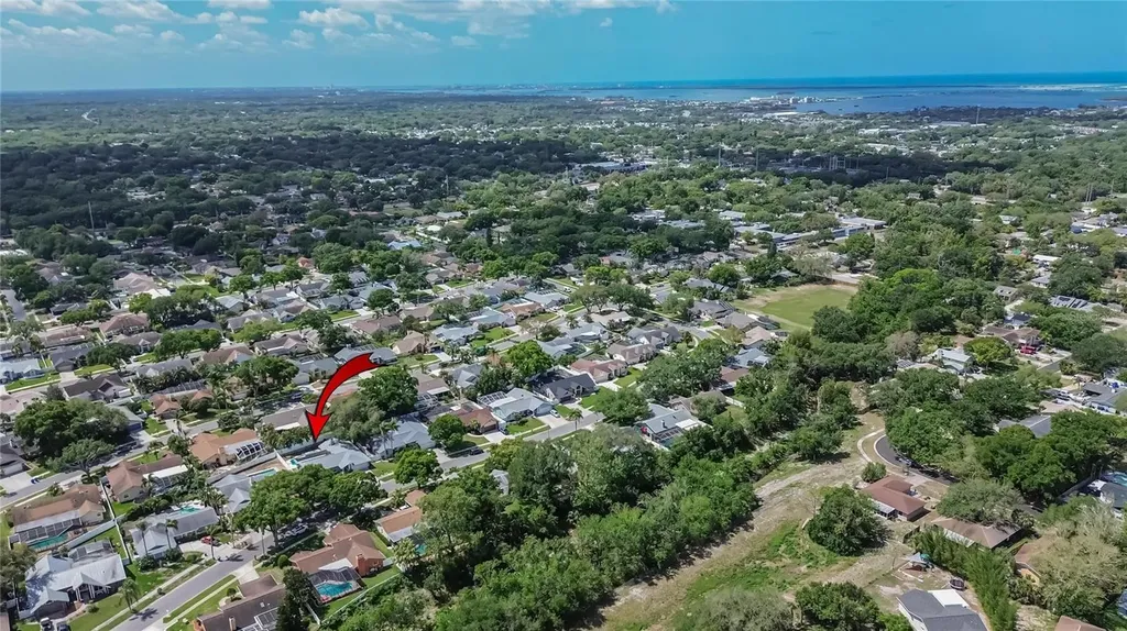 1668 Allens Ridge Drive N Palm Harbor FL 34683