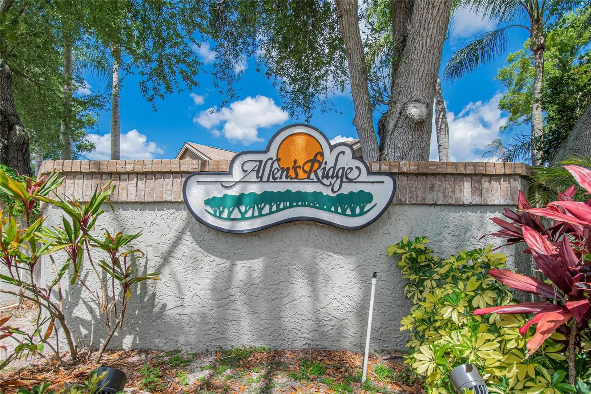 1668 Allens Ridge Drive N Palm Harbor FL 34683