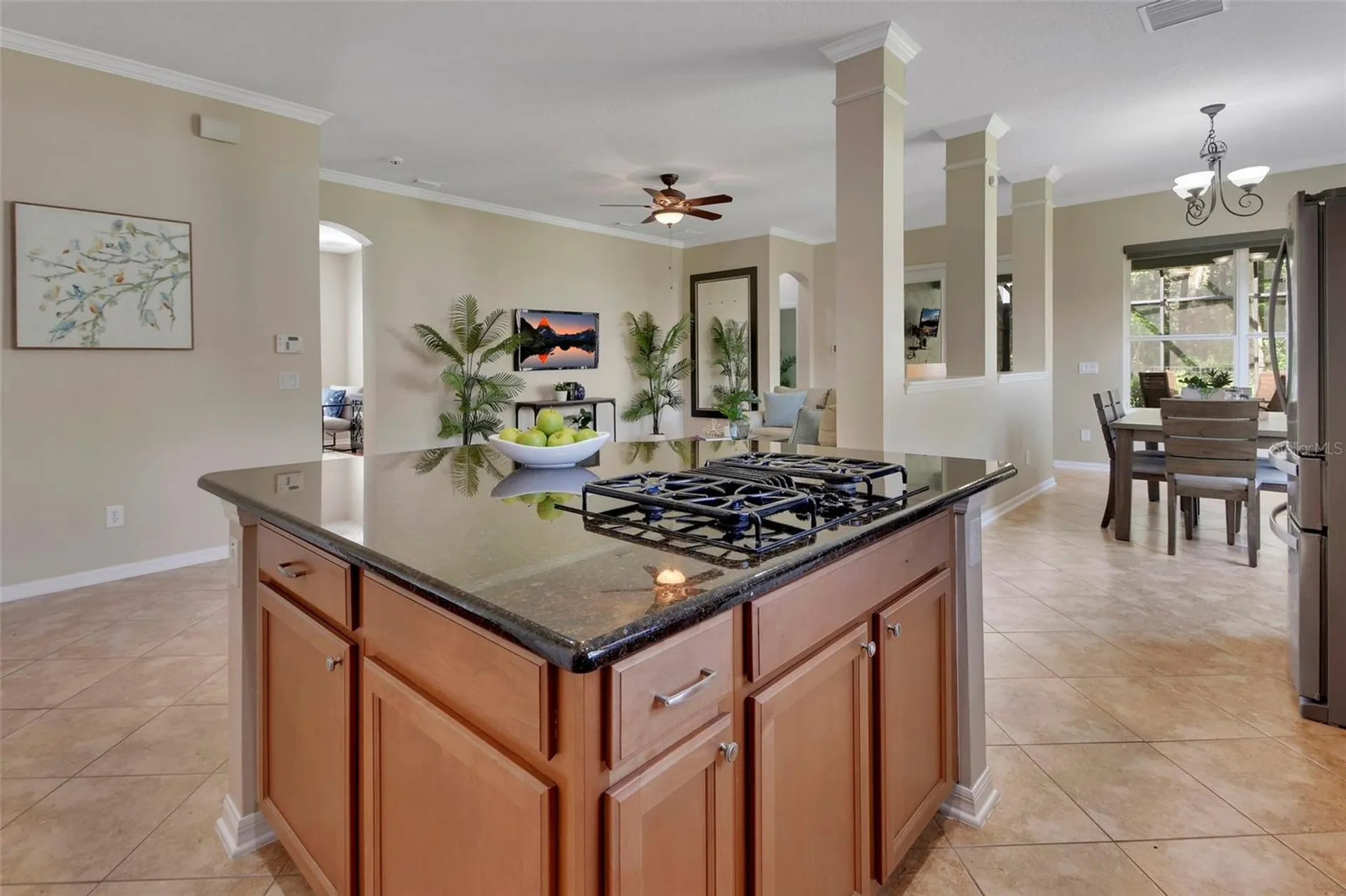 186 Birchmont Drive Deland FL 32724
