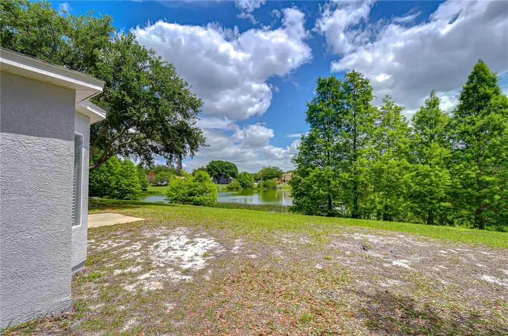 18003 Birdwater Drive Tampa FL 33647