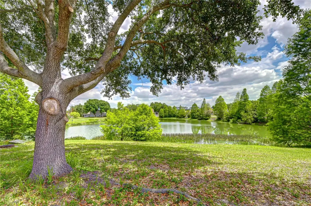 18003 Birdwater Drive Tampa FL 33647