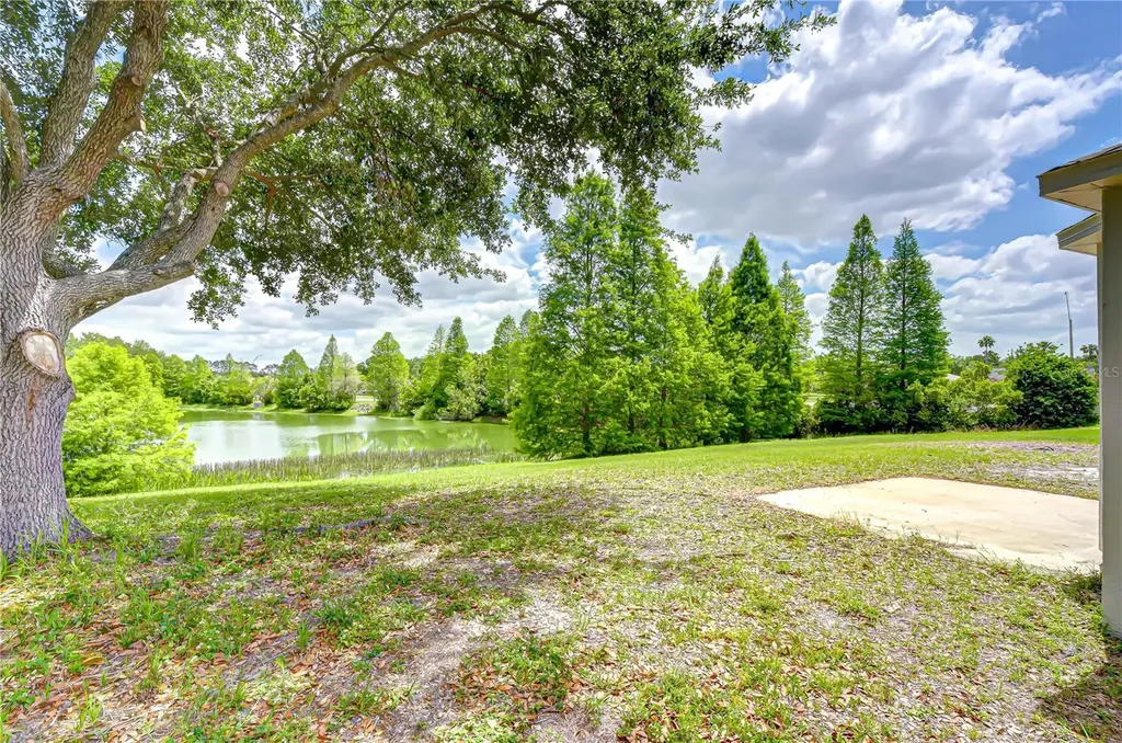 18003 Birdwater Drive Tampa FL 33647