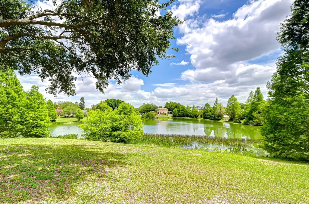 18003 Birdwater Drive Tampa FL 33647