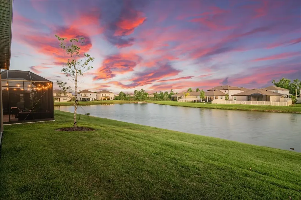 30950 Parrot Reef Court Wesley Chapel FL 33545