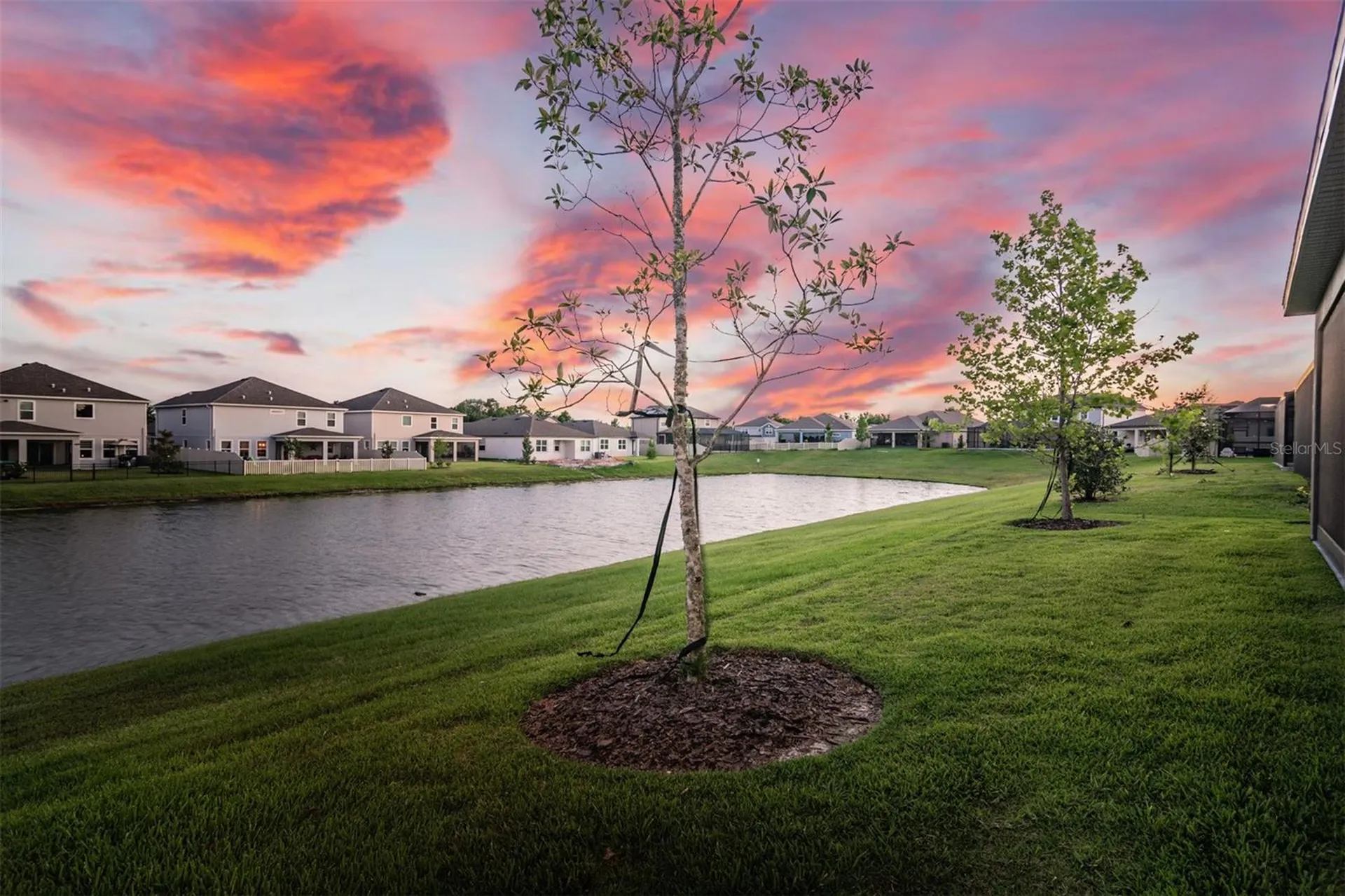 30950 Parrot Reef Court Wesley Chapel FL 33545