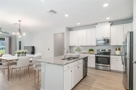 30950 Parrot Reef Court Wesley Chapel FL 33545