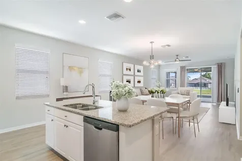 30950 Parrot Reef Court Wesley Chapel FL 33545