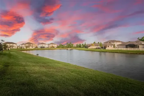 30950 Parrot Reef Court Wesley Chapel FL 33545