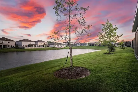 30950 Parrot Reef Court Wesley Chapel FL 33545