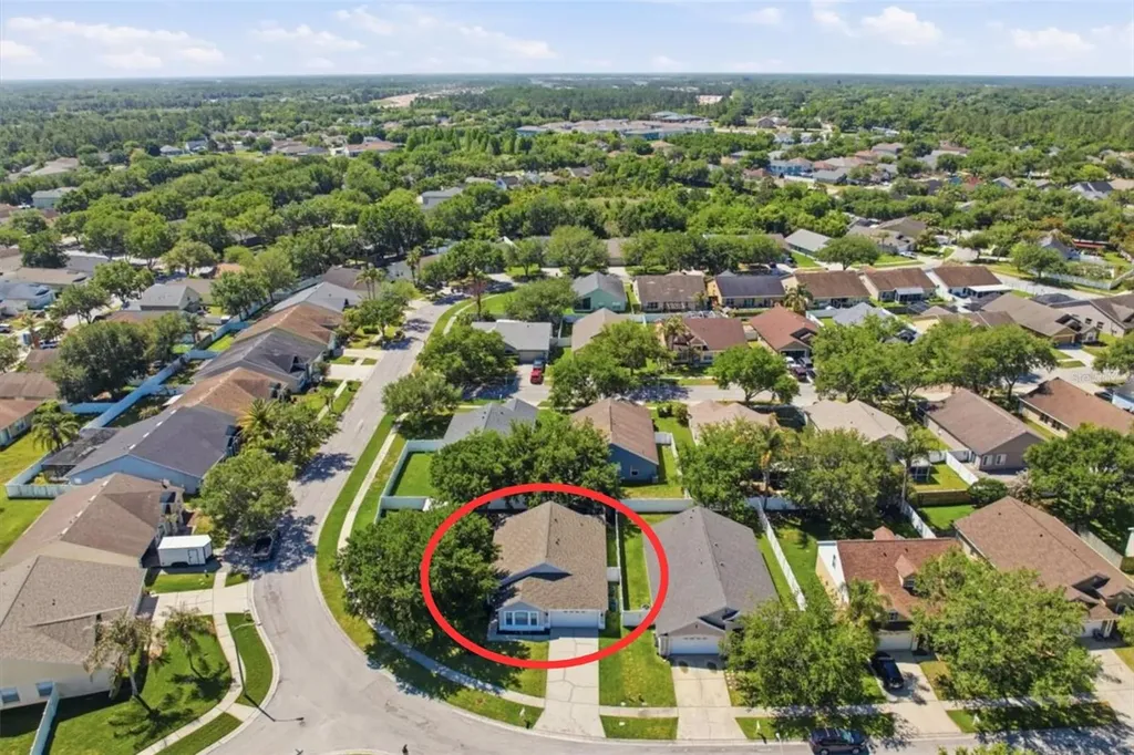 5207 New Savannah Circle Wesley Chapel FL 33545