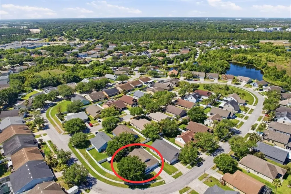 5207 New Savannah Circle Wesley Chapel FL 33545