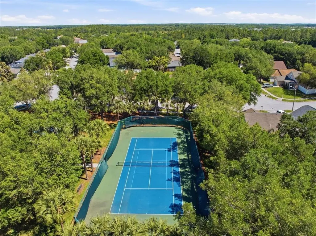 5207 New Savannah Circle Wesley Chapel FL 33545