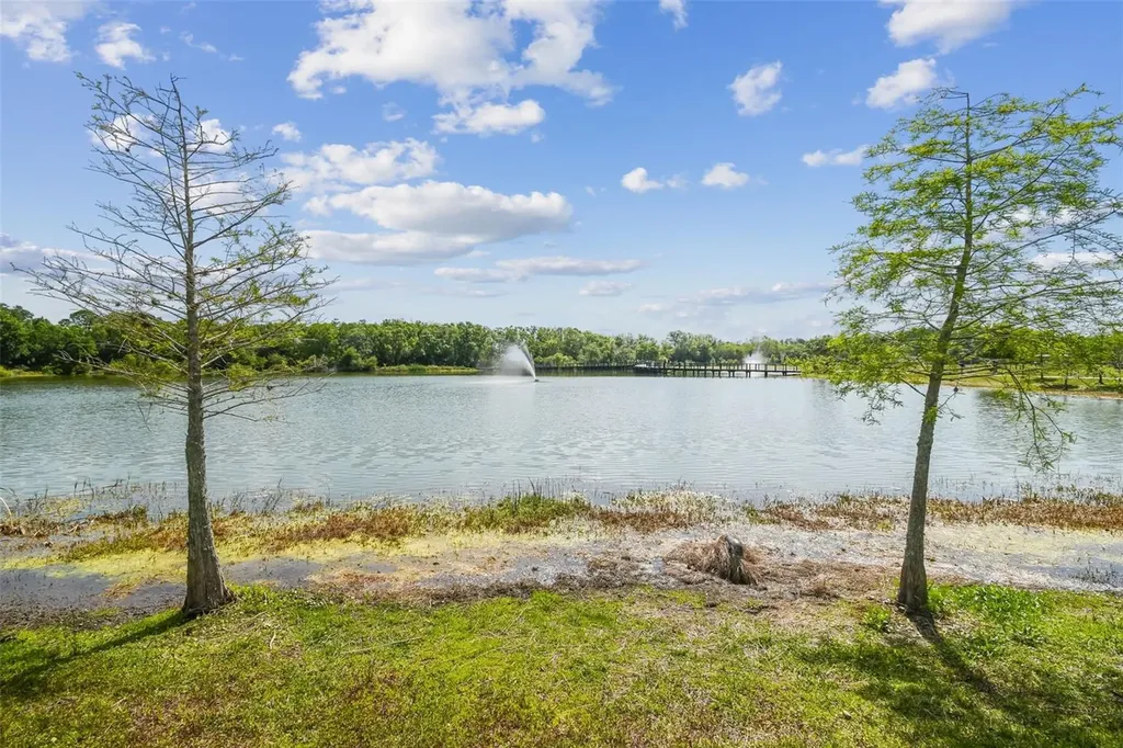 13934 Clubhouse Circle Tampa FL 33618