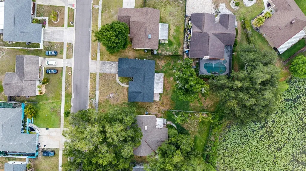 17635 Meadowbridge Drive Lutz FL 33549