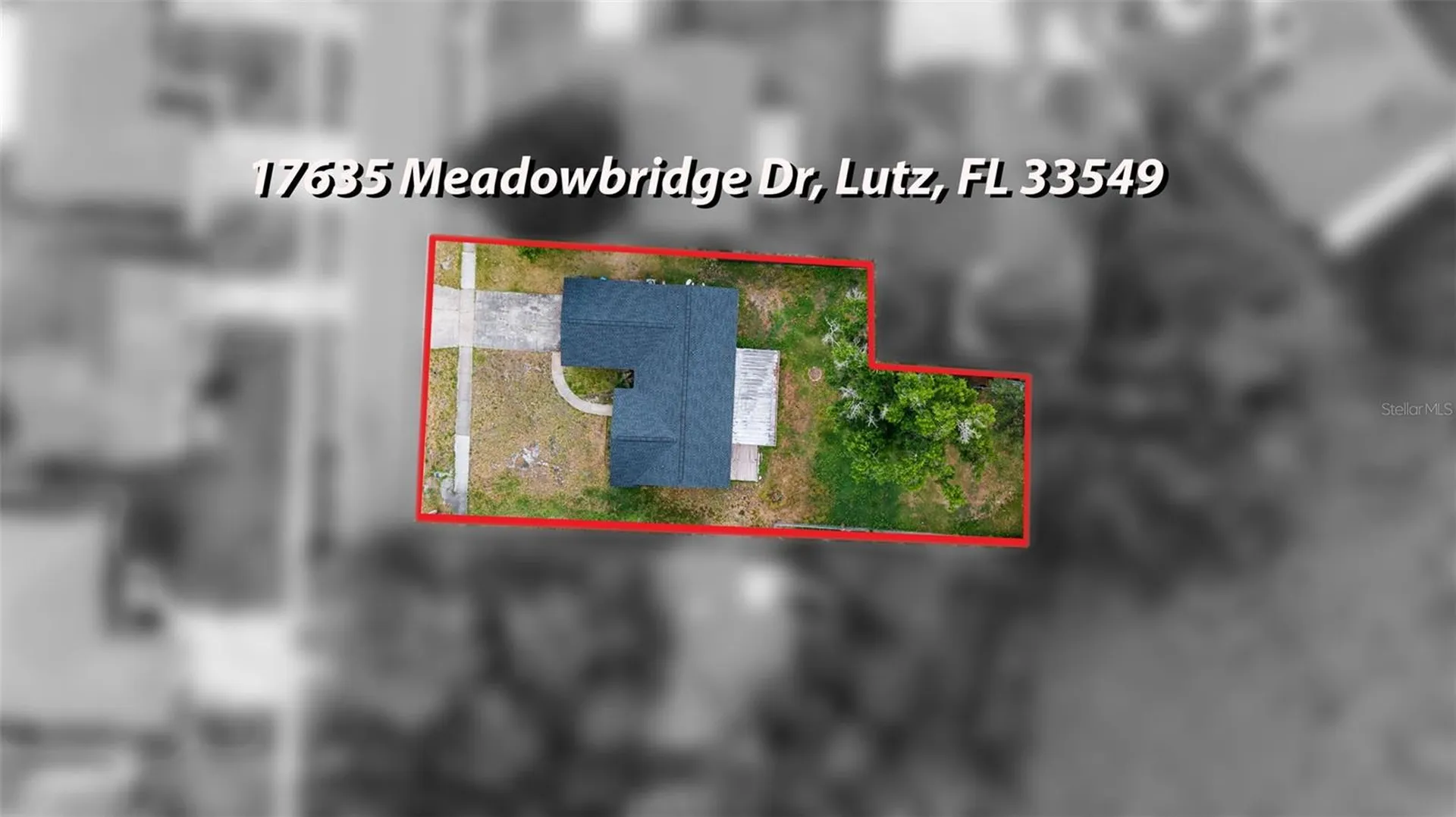 17635 Meadowbridge Drive Lutz FL 33549