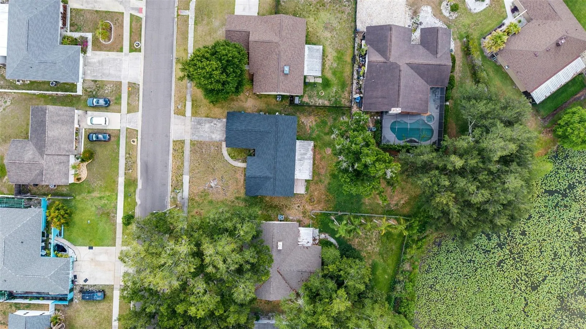 17635 Meadowbridge Drive Lutz FL 33549