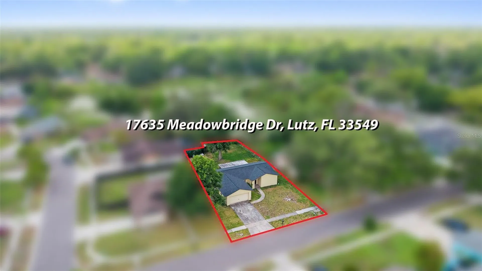 17635 Meadowbridge Drive Lutz FL 33549
