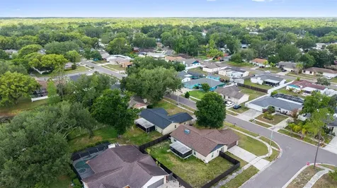 17635 Meadowbridge Drive Lutz FL 33549