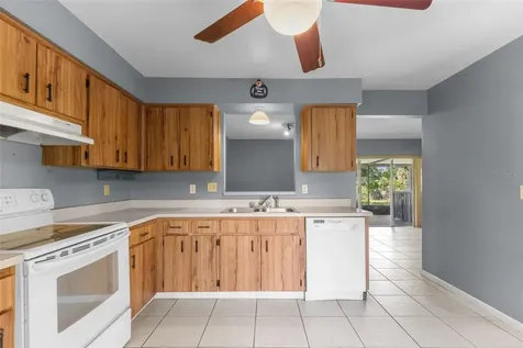 17635 Meadowbridge Drive Lutz FL 33549