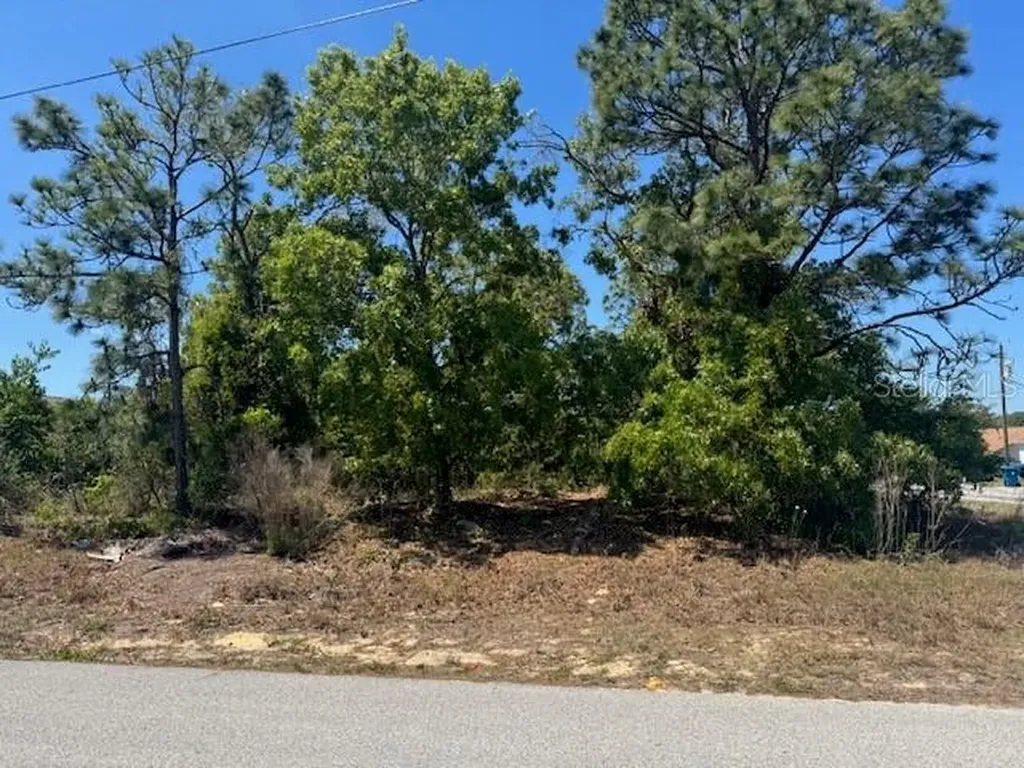 11364 Patch Street Spring Hill FL 34609