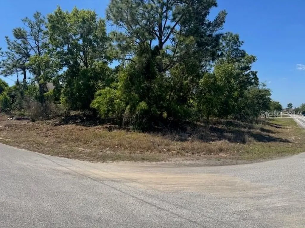 11364 Patch Street Spring Hill FL 34609