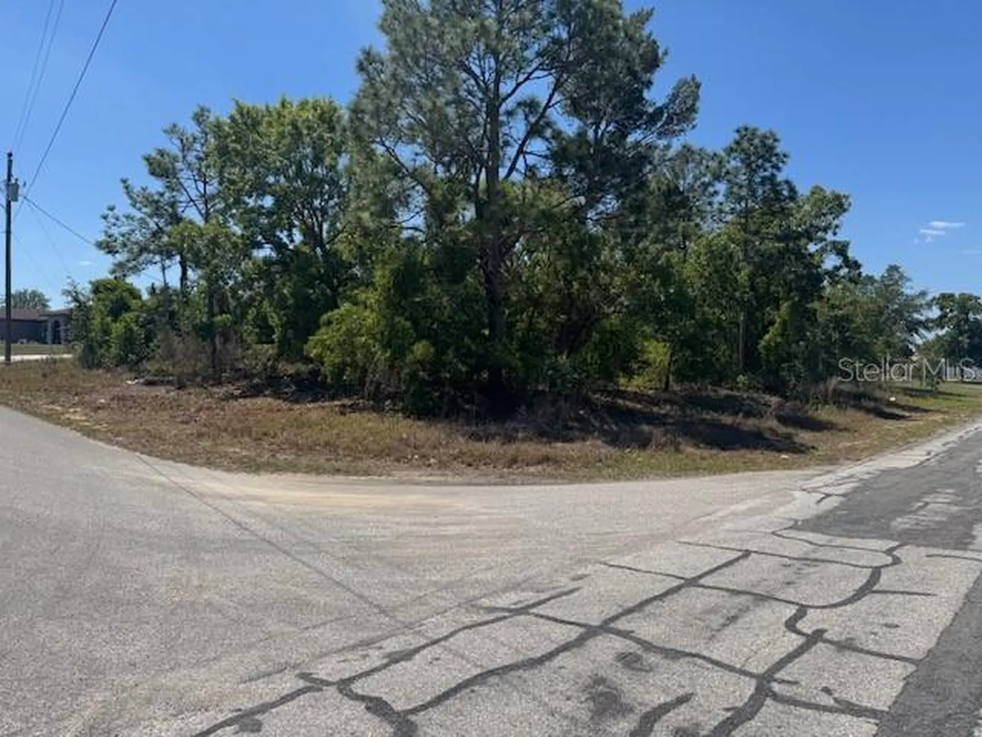 11364 Patch Street Spring Hill FL 34609